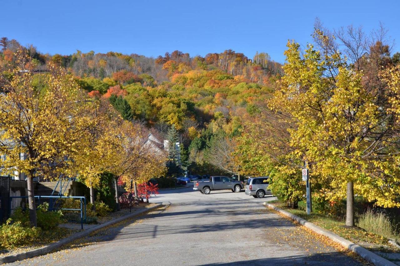 Quiet Hillside - Wifi, Pool, Close To The Village *